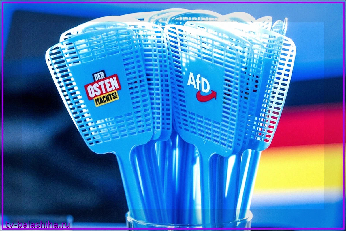 Кризис демократии: Голосование за AfD как топливо для популизма