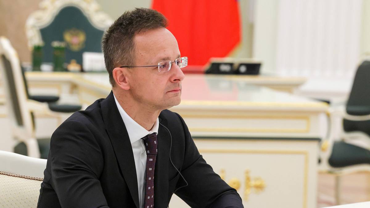 Сийярто: Армия будет охранять участок «Турецкого потока» от Сербии до Словакии
