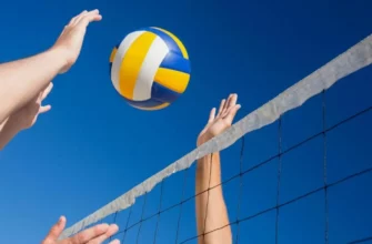Линия ставок на волейбол как использовать для успешных прогнозов